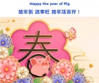 Happy the year of Pig