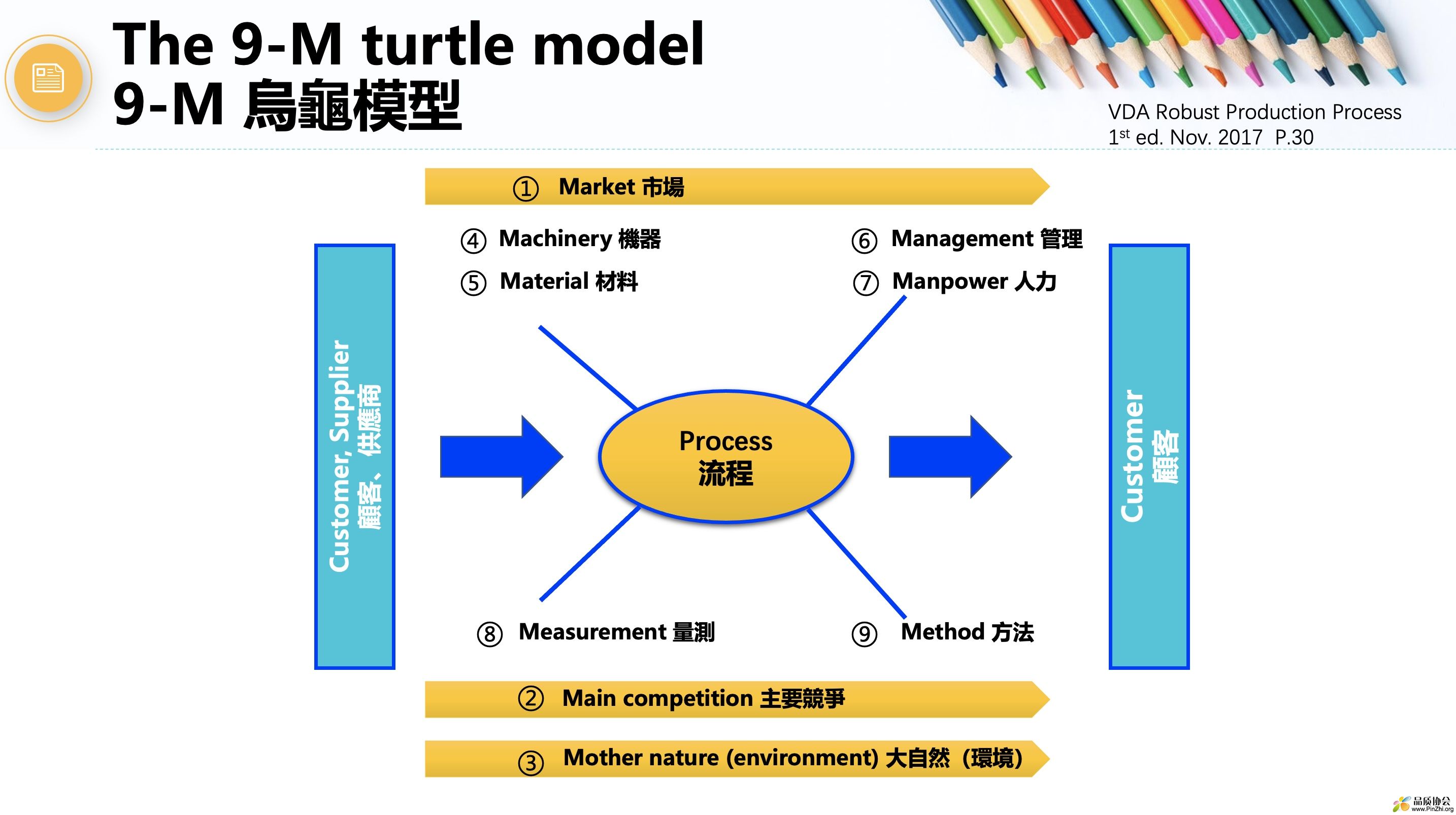 9-M turtle model.jpg
