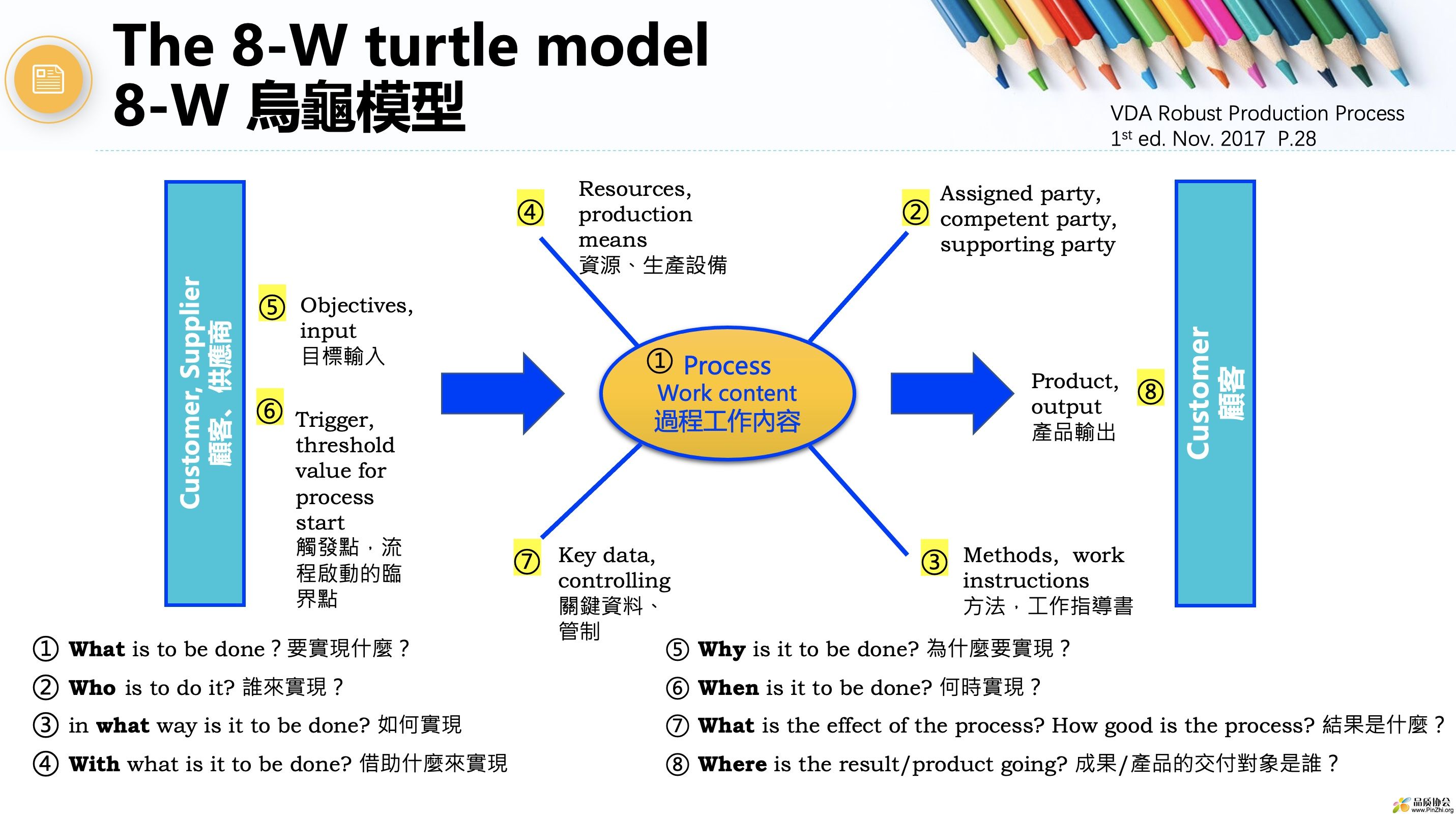 8-W turtle model.jpg