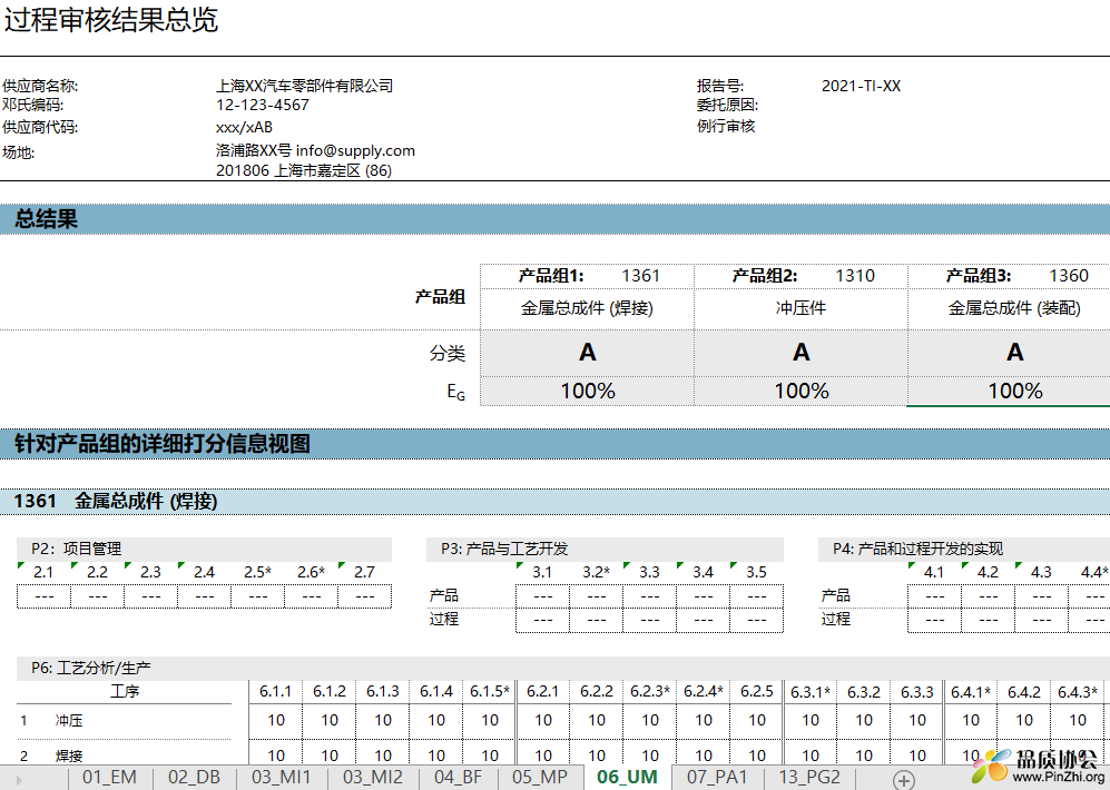 IATF16949内审过程审核表 format Q8