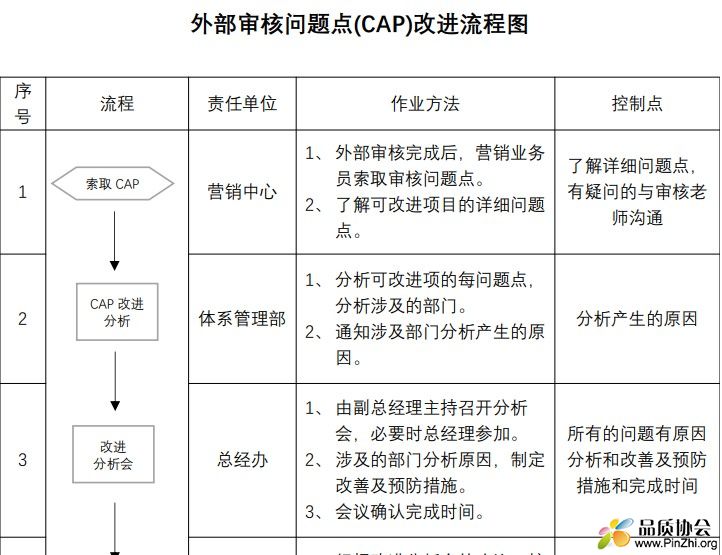 外部审核问题点(CAP)改进流程图