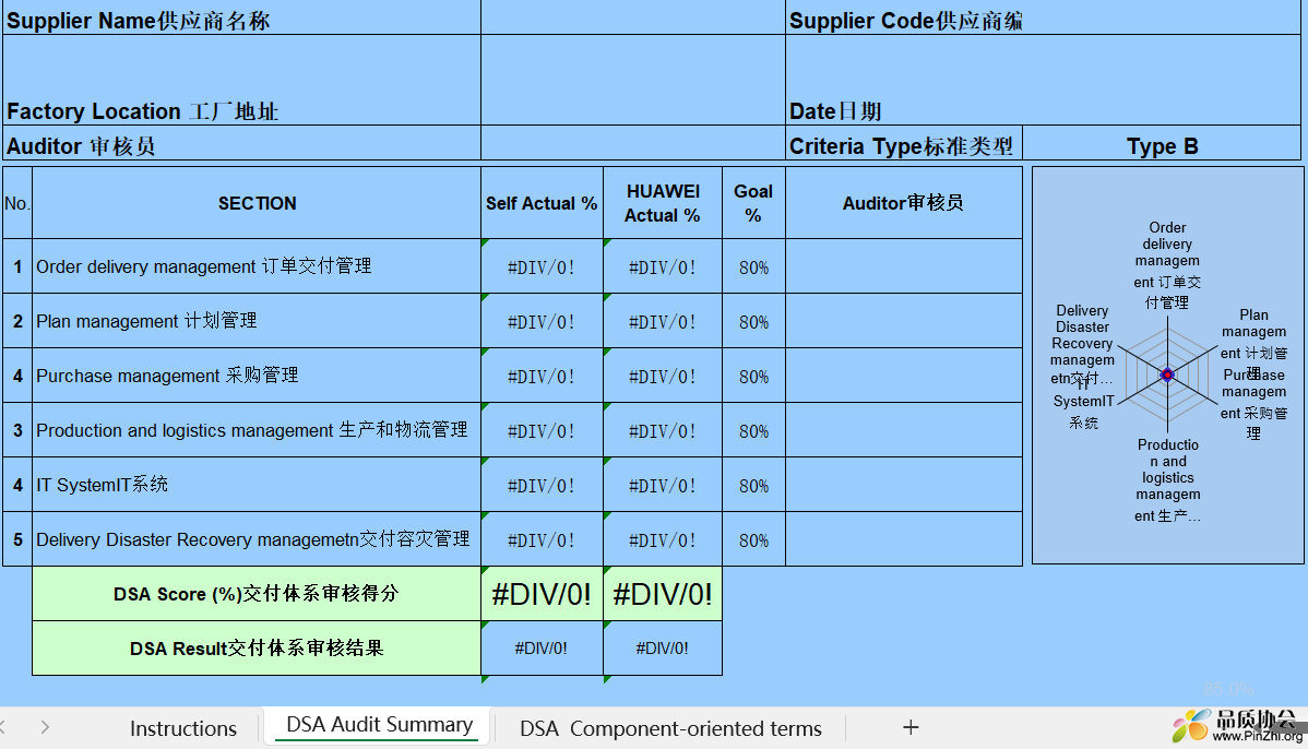  DSA Audit Summary